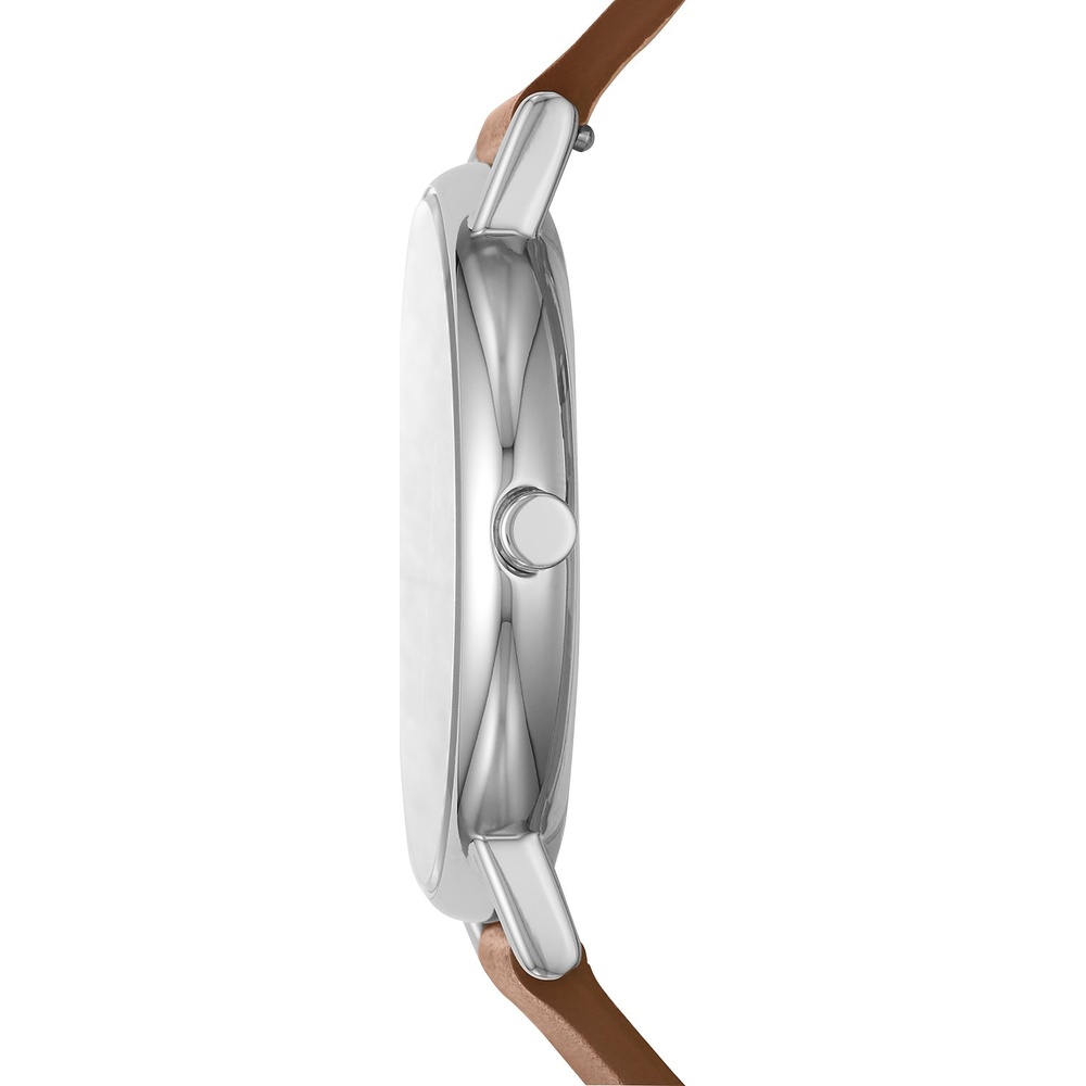 Skagen Montre pour hommes Acier inoxydable Montre
