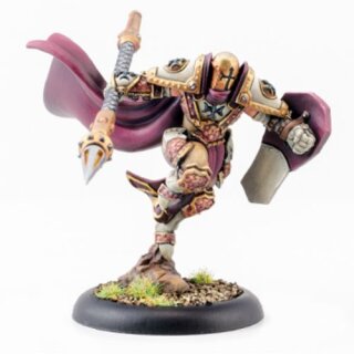 Protectorate Solo Flameguard Hero Pyrrhus