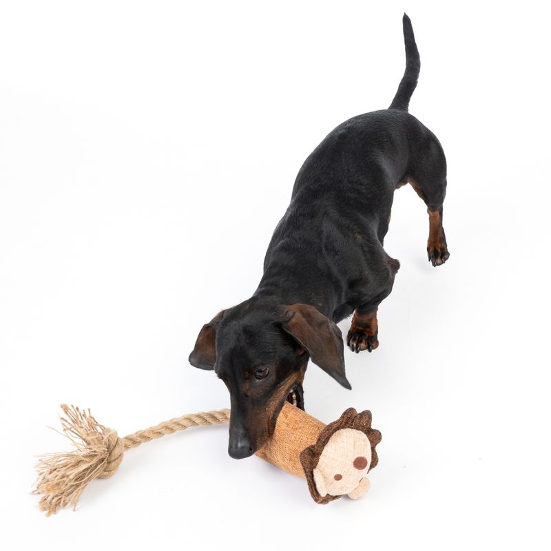Modern Living Hundespielzeug Kruger Lion zu TOP-Preisen | bitiba