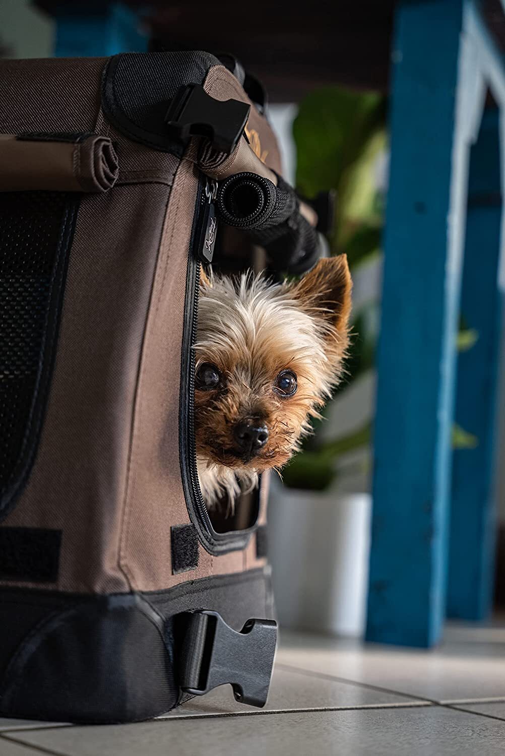 TrendPet Transportboxen & Gitterboxen TrendPet Faltbare Hundebox TPX-Pro XS