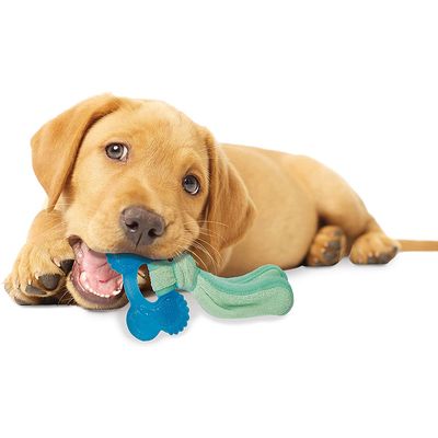 Nylabone kühlendes Kauspielzeug für zahnende Welpen