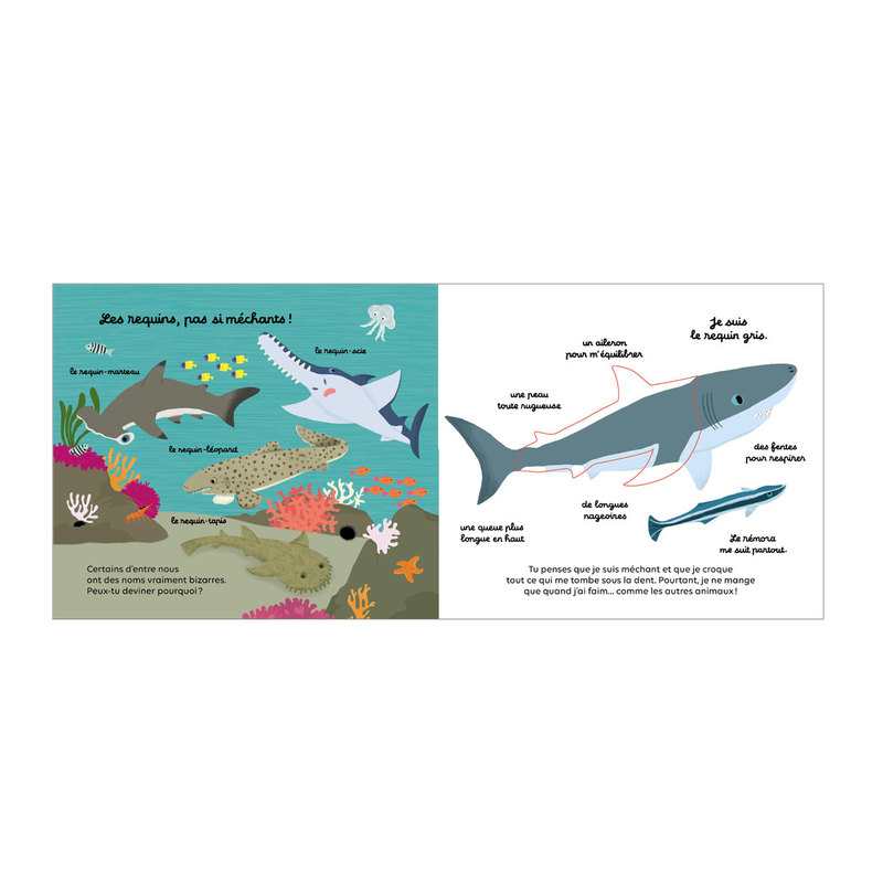 Livre Les animaux de la mer - Milan Jeunesse