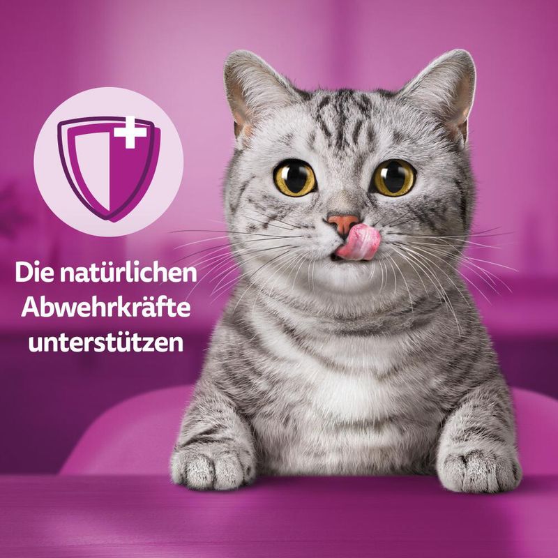 Whiskas Vitamin E-Xtra zu TOP-Preisen