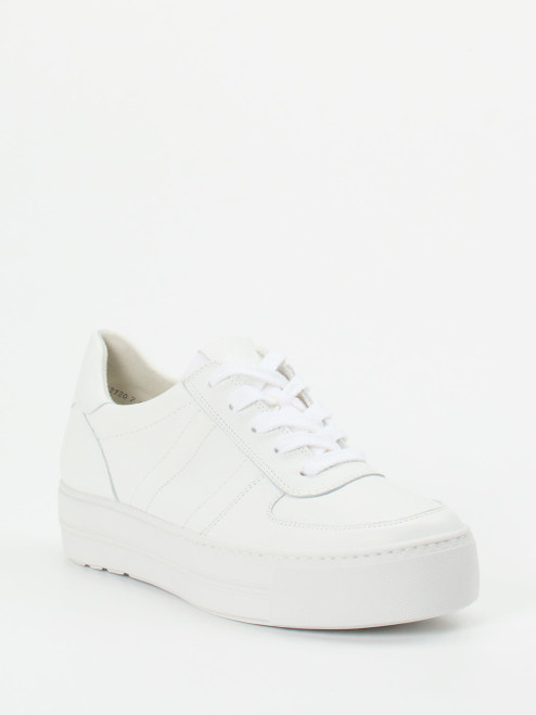 Sneaker-16637990260 Paul Green