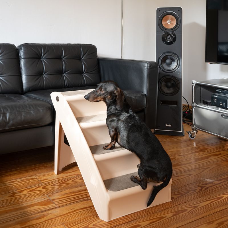 Hundetreppe Easy Up Stairs zu TOP-Preisen