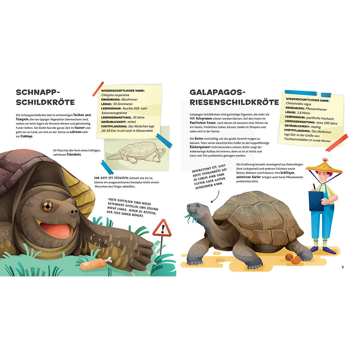 Besonders und wunderbar: Reptilien
