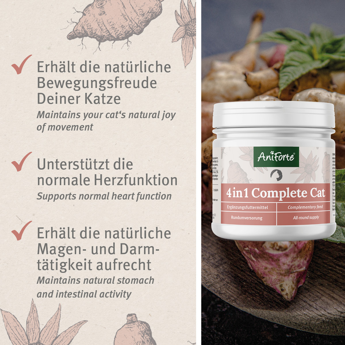 Aniforte Ergänzungsfutter & Aufzucht Aniforte 4in1 Complete Cat 60g