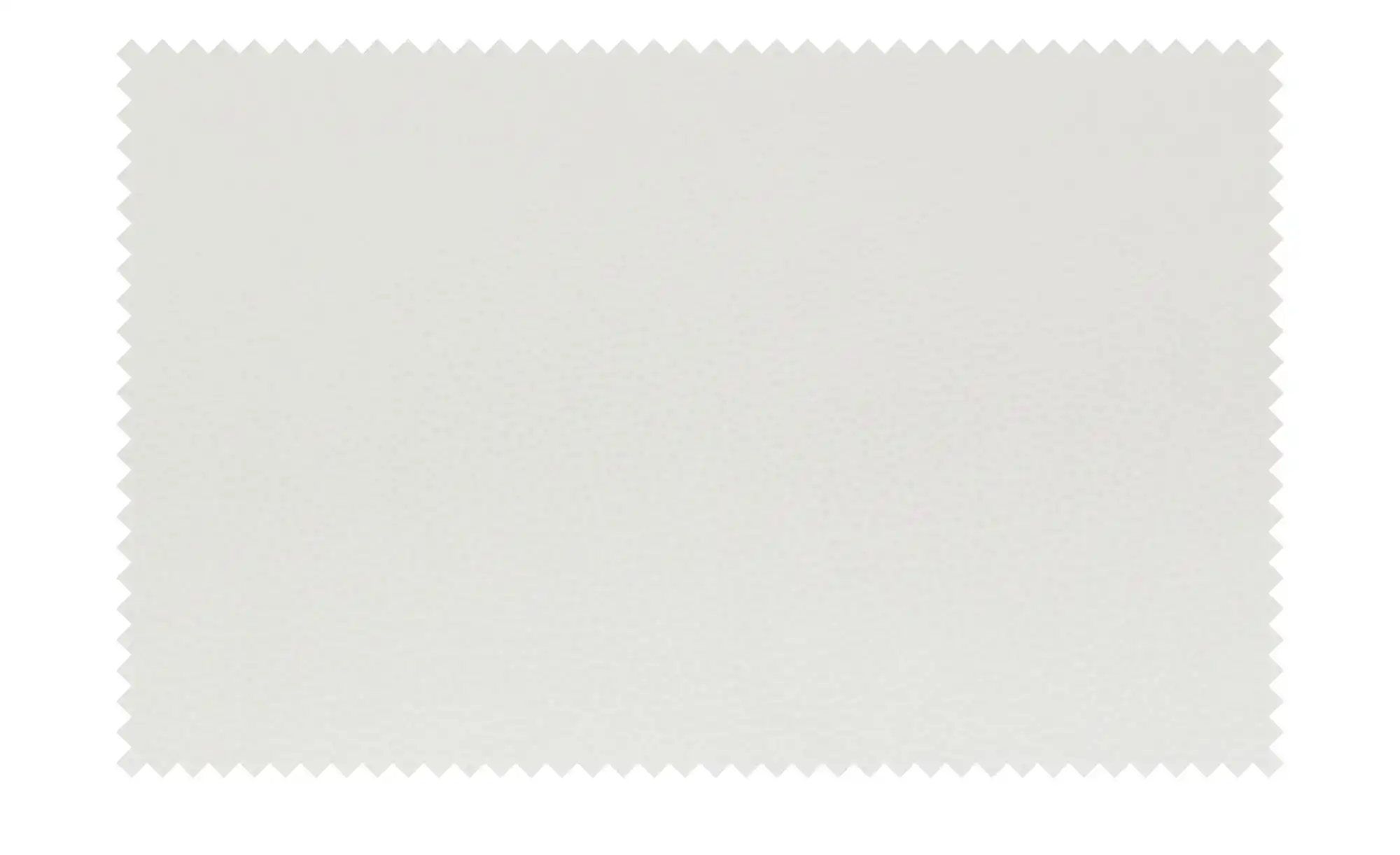 W.SCHILLIG Ledersofa