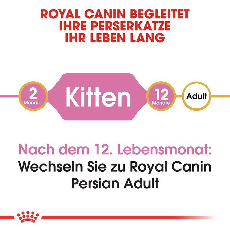 Royal Canin Persian Kitten zu TOP-Preisen