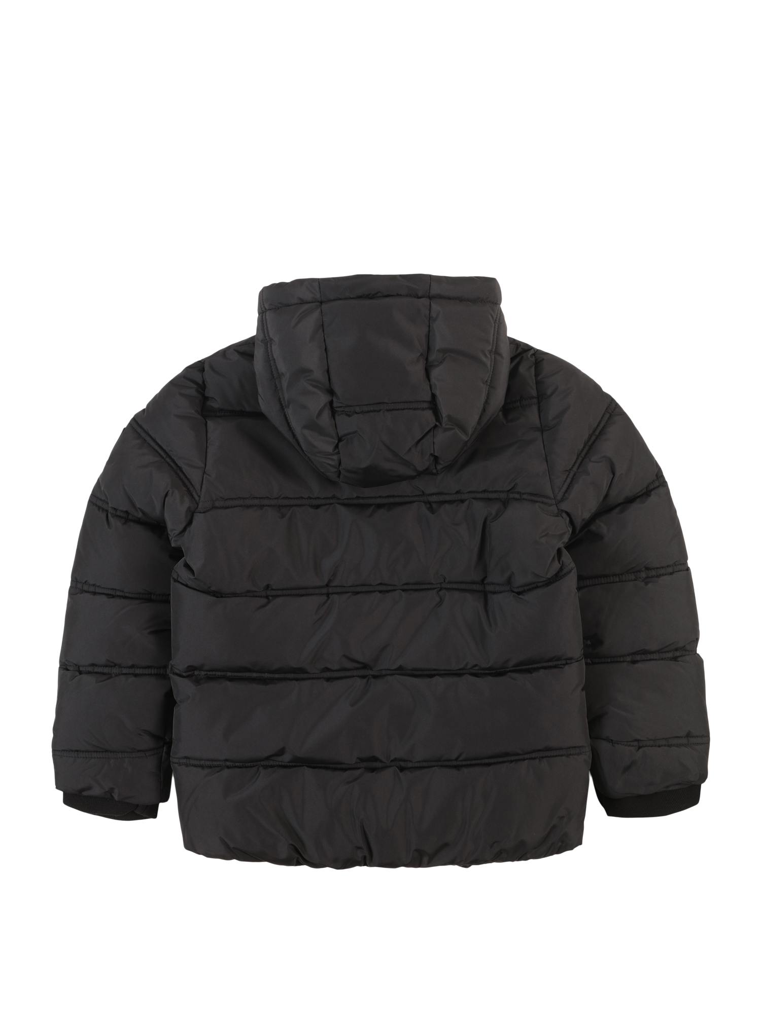 Winter Jacket