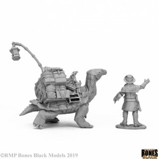 Dreadmere Tortoise & Drayman