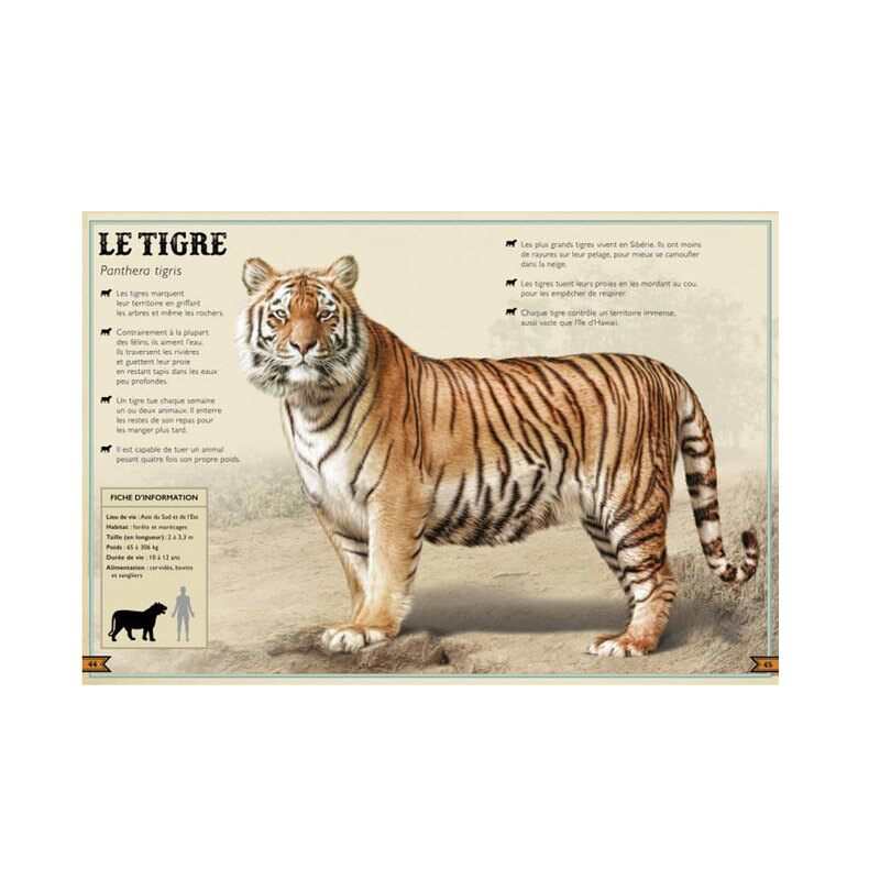 Livre Le livre extraordinaire des animaux - Little Urban