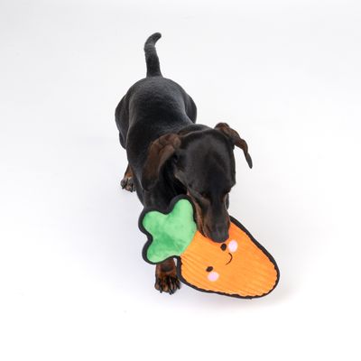 TIAKI Hundespielzeug Happy Carrot Tough