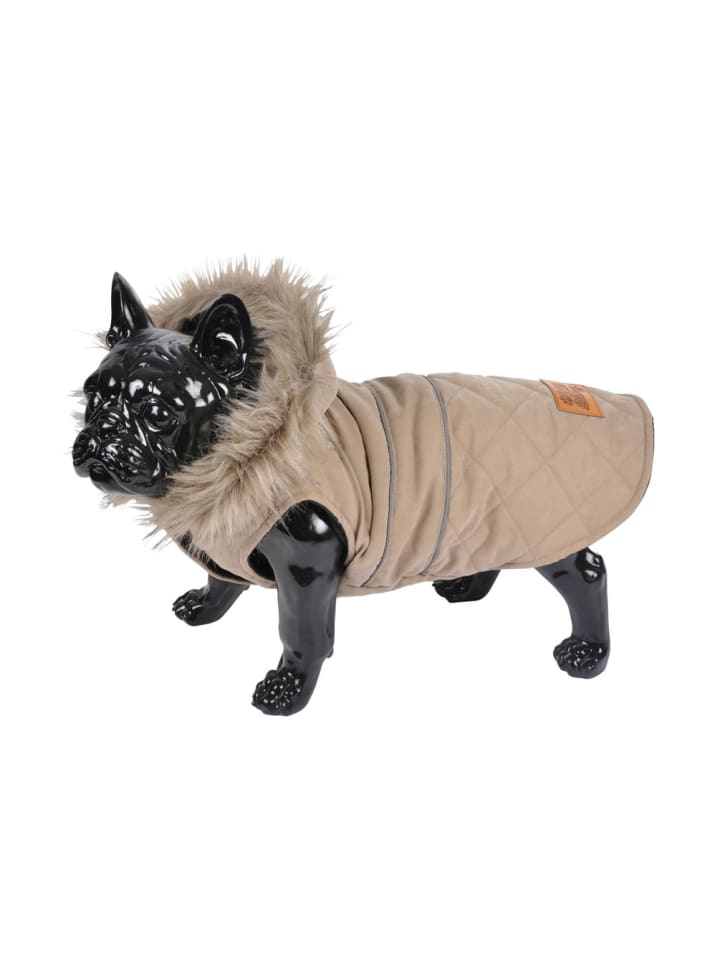 dynamic24 Hunde Winterjacke Hundemantel Kapuze Hundebekleidung Hundejacke in Beige günstig kaufen 30