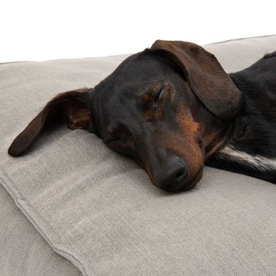 Hundebett Hamilton ecoLIFE Grau
