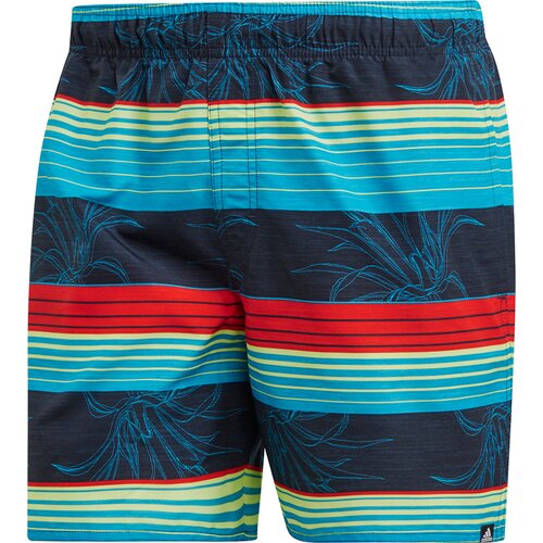 HERREN STRIPE BADESHORTS
