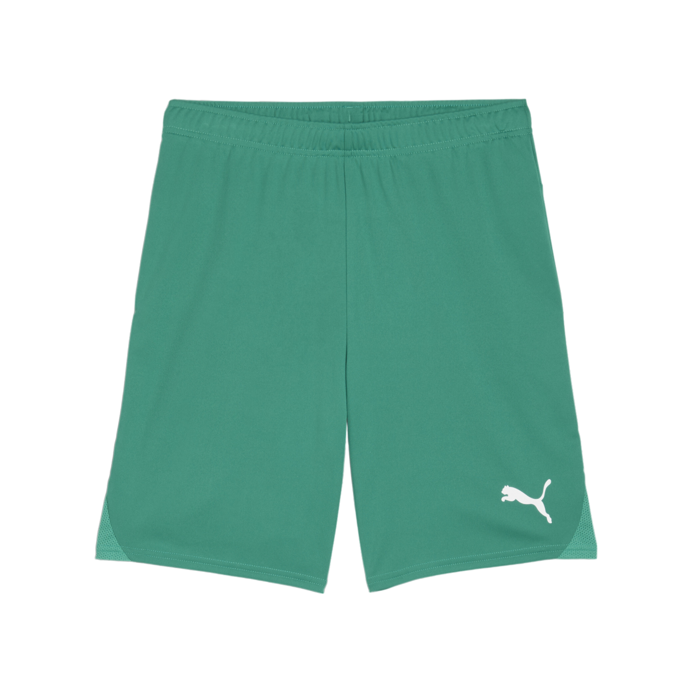 PUMA teamGOAL Short Grün Weiss F05