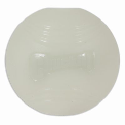 Chuckit! Max Glow Ball