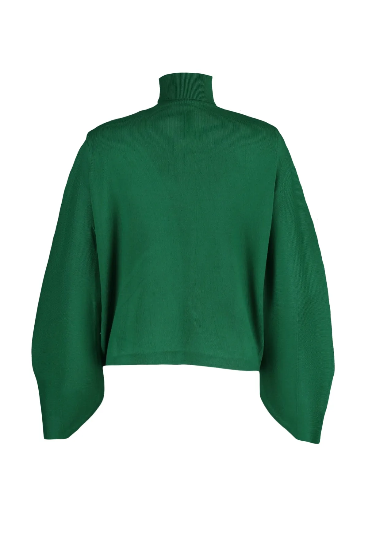 Trendyol Collection  Smaragdgrüner Basic Rollkragenpullover TWOAW21KZ0485
