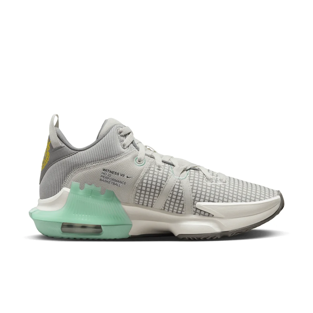 Nike LeBron Witness 7 DM1123-006 / grau