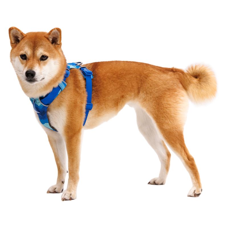 Ruffwear Front Range Hundegeschirr, Coastal Mountains | bitiba %