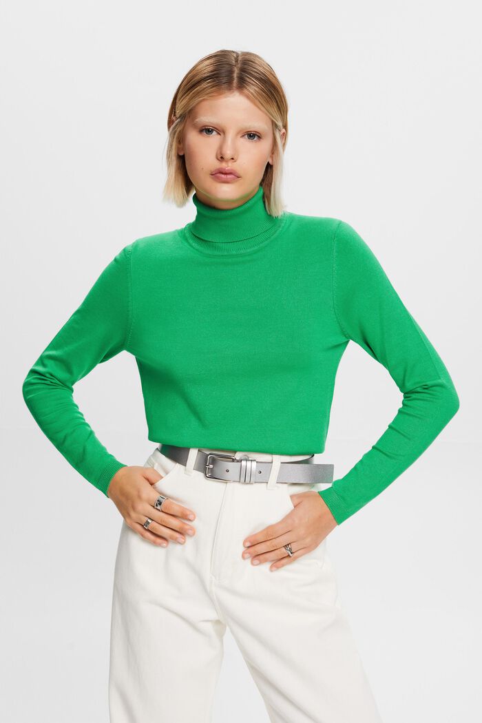 Langärmeliger Rollkragenpullover