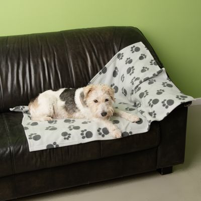 Fleecedecke Pawty
