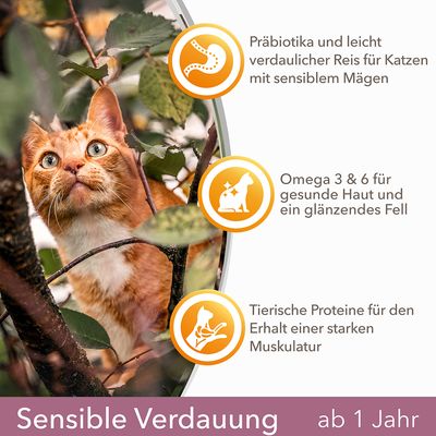 IAMS for Vitality Sensitive Digestion Adult & Senior mit Truthahn