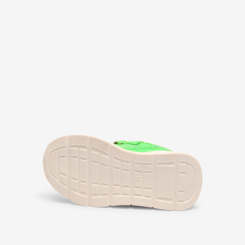 pax e neon green - Grün