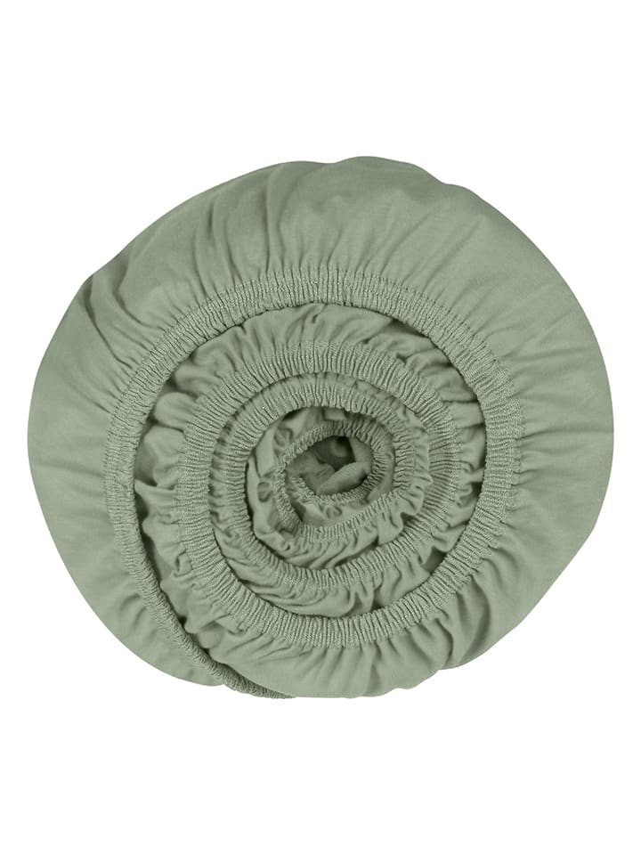 Schiesser Spannbettlaken 