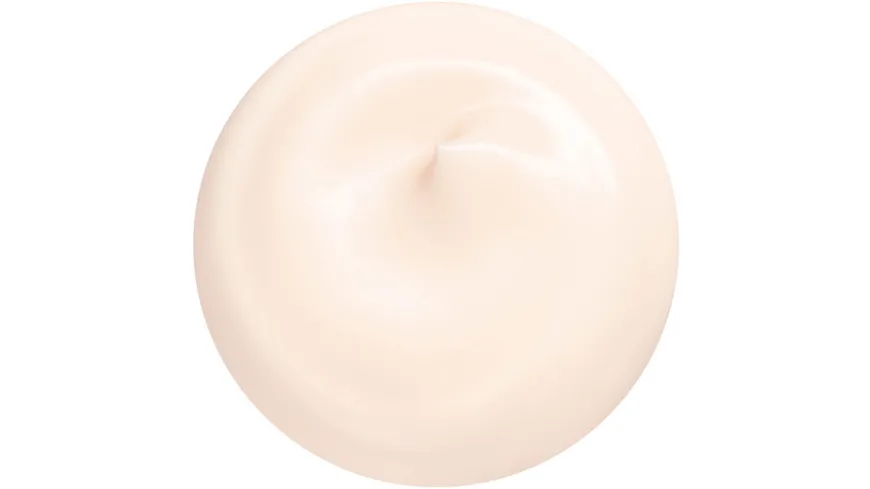 SHISEIDO Essential Energy Hydrating Day Cream SPF 20 50 ml