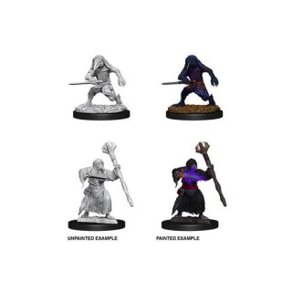 Kenku Adventurers: D&D Nolzurs Marvelous Miniatures