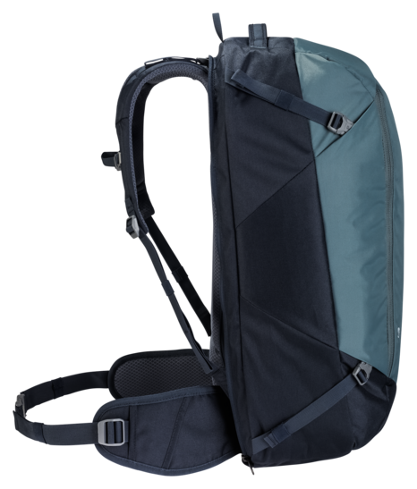 AViANT Access 55