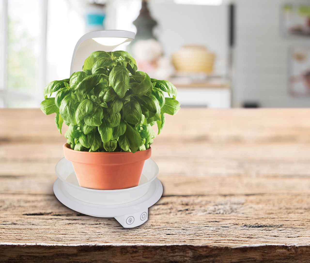 Näve Leuchten LED Pflanzen-Tischleuchte h:24cm