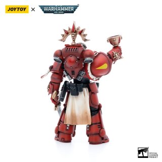 Warhammer 40k Actionfigur: Blood Angels Veteran Salus