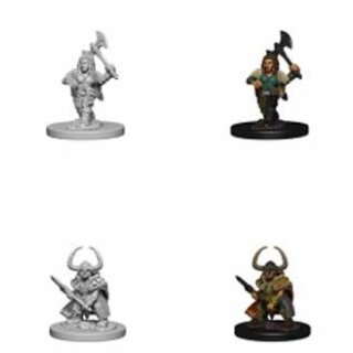 Dwarf Female Barbarian: Nolzurs Marvelous Unpainted Minis
