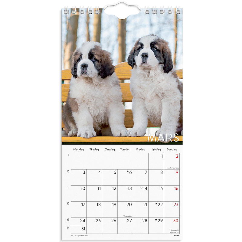 Veggkalender hunder mini 2025