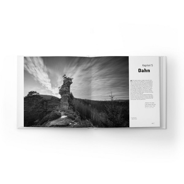 DIE PFALZ - DAS BUCH