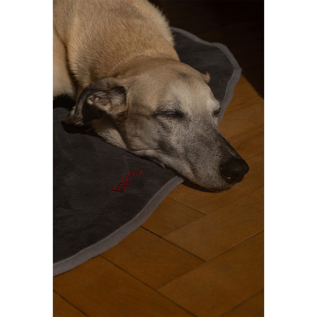 iEnergy BUR Hundematte günstig kaufen bei ZooRoyal