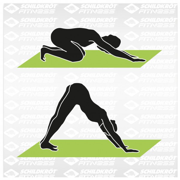 Schildkröt Fitness - Yogamatte 4mm Bicolor