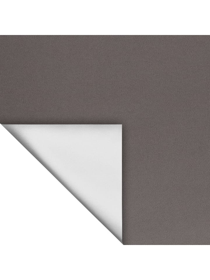 Lichtblick Seitenzugrollo in Taupe günstig kaufen