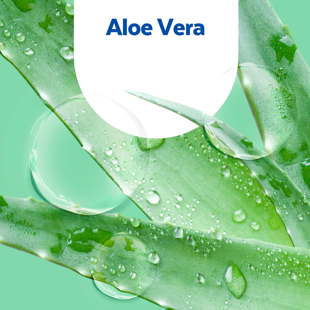 Flüssigseife sanft zur Haut Aloe Vera  Nachfüllpack, 500 ml