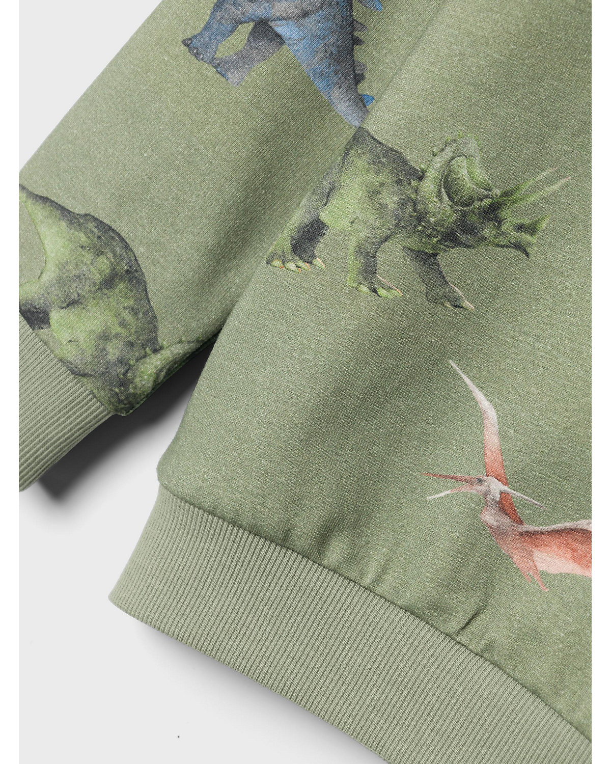 Sweatshirt NMMNODINO für Jungen