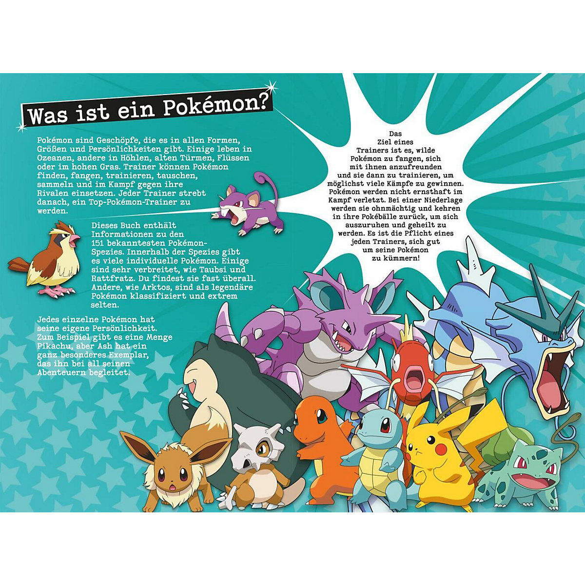 Pokémon: Der ultimative Guide