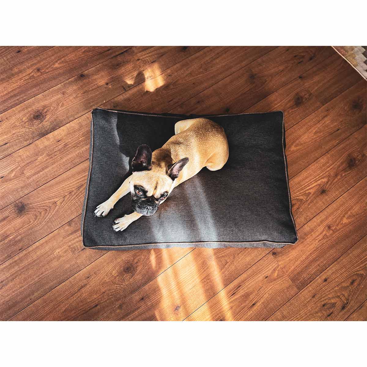 Aumüller Hundebett Basic Line Braun günstig kaufen bei ZooRoyal