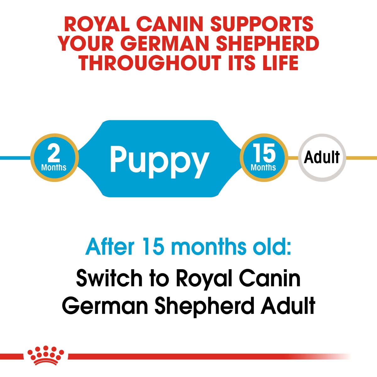 ROYAL CANIN German Shepherd Puppy Welpenfutter trocken für Deutsche Schäferhunde