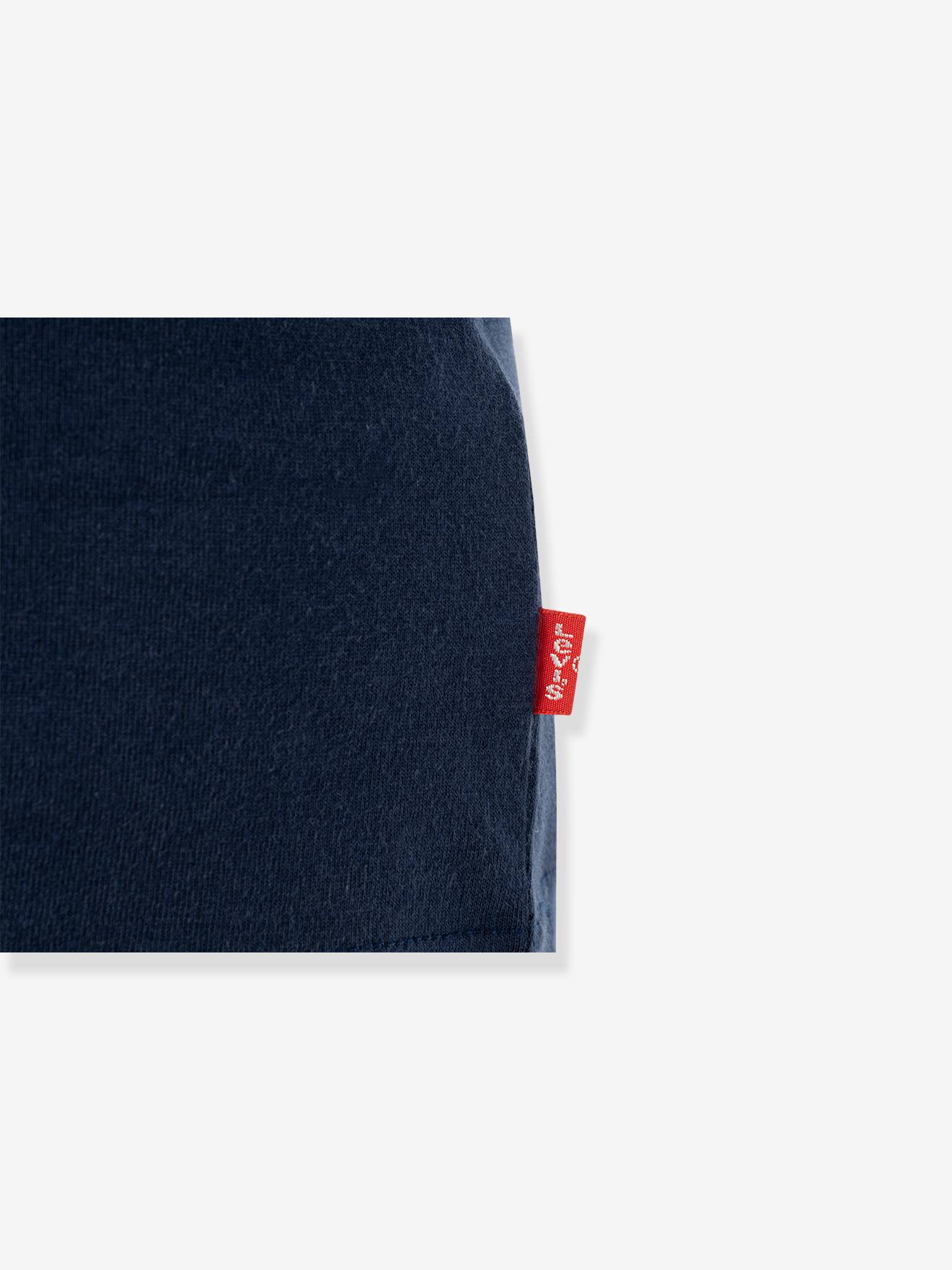 Levis Jungen T-Shirt Batwing Levi's - graublau