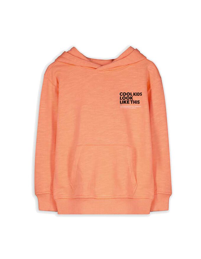 Hoodie - Messageprint