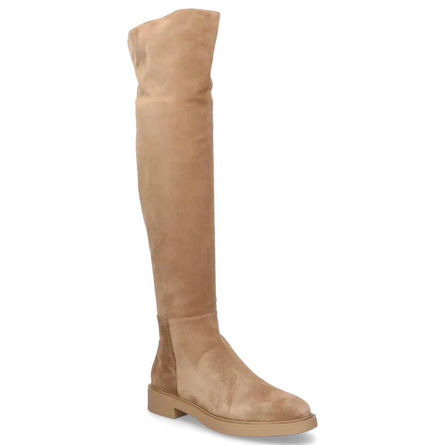 Gianvito Rossi - Overknees LEXINGTON beige - grau