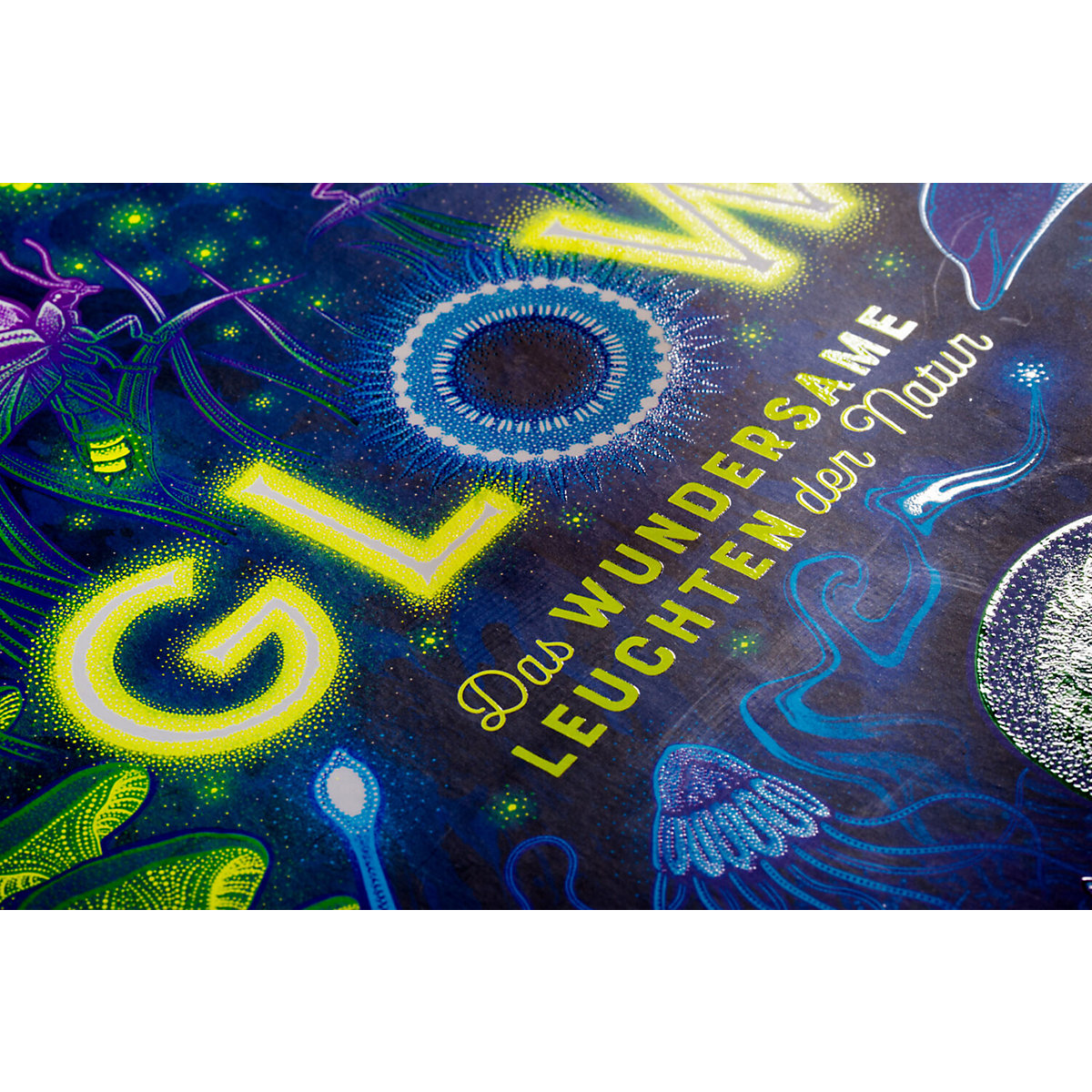 Glow - Das wundersame Leuchten der Natur
